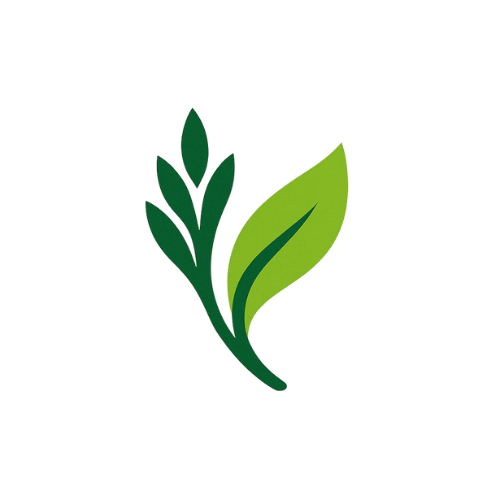 Oshanodes Logo